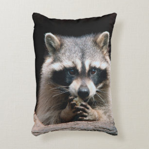 Waschbär 004 dekokissen