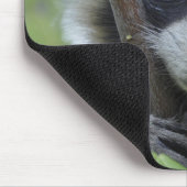 Waschbär - #1005 mousepad (Ecke)