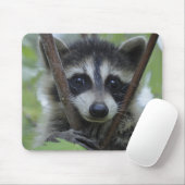 Waschbär - #1005 mousepad (Mit Mouse)