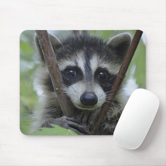 Waschbär - #1005 mousepad (Mit Mouse)