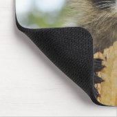 Waschbär - #1007 mousepad (Ecke)