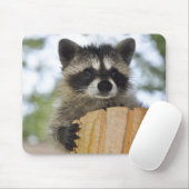 Waschbär - #1007 mousepad (Mit Mouse)