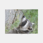 Waschbär 1115 fleecedecke (Vorderseite (Horizontal))