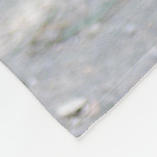 Waschbär 1115 fleecedecke (Ecke)