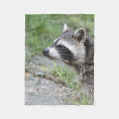 Waschbär 1115 fleecedecke (Vorderseite)