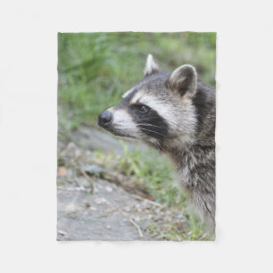 Waschbär 1115 fleecedecke