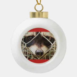 Waschbär auf Keramik-Kugel-Ornament Keramik Kugel-Ornament