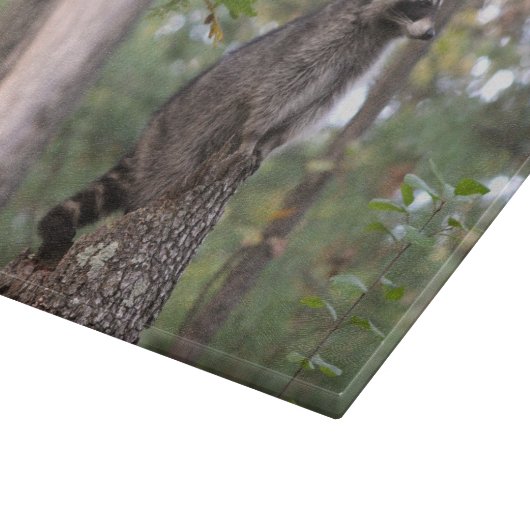 Waschbär auf Stumpf-Schneidebrett Schneidebrett (Ecke)