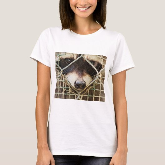 Waschbär auf T-Shirts (Vorderseite)