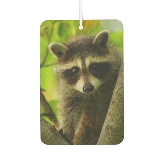 Waschbär Autolufterfrischer (Vorderseite)