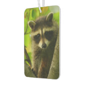 Waschbär Autolufterfrischer (Links)