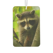 Waschbär Autolufterfrischer (Rückseite)