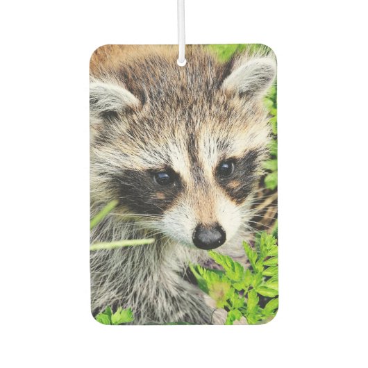 Waschbär Autolufterfrischer (Vorderseite)