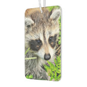 Waschbär Autolufterfrischer (Links)