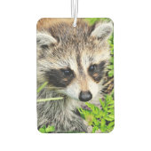 Waschbär Autolufterfrischer (Rückseite)