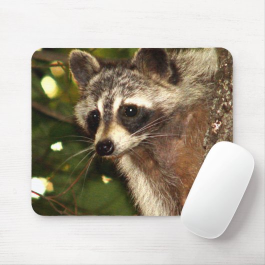Waschbär "Bandit" Mousepad (Mit Mouse)