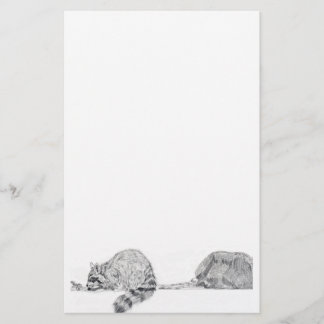Waschbär-Briefpapier Briefpapier