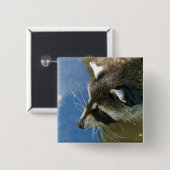 Waschbär Button (Vorne & Hinten)