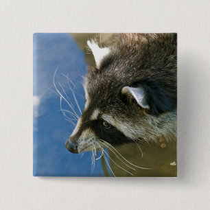 Waschbär Button