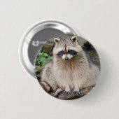 Waschbär Button (Vorne & Hinten)