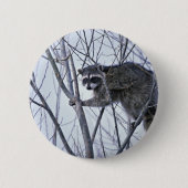 Waschbär Button (Vorderseite)