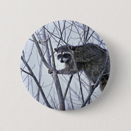 Waschbär Button (Vorderseite)