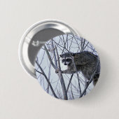 Waschbär Button (Vorne & Hinten)