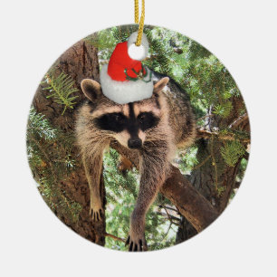 Waschbär, der in einem Baum trägt einen Sankt-Hut Keramik Ornament