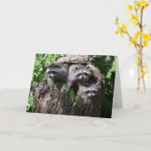 Waschbär - die drei Freunde Karte (Gelbe Blume)