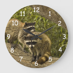Waschbär-Familie Große Wanduhr