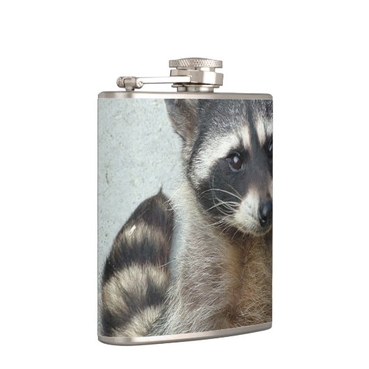 Waschbär Flachmann (Rechts)