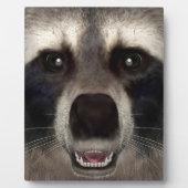 Waschbär Fotoplatte (Vorderseite)