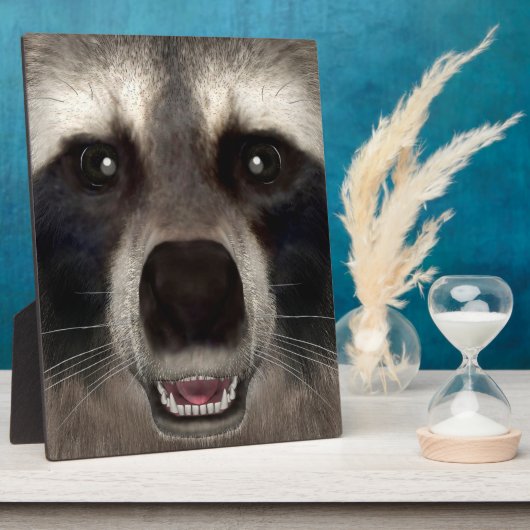Waschbär Fotoplatte (Seite)