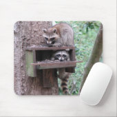 Waschbär-Gauner Mousepad (Mit Mouse)