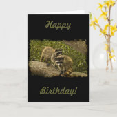 Waschbär-Geburtstag Karte (Gelbe Blume)