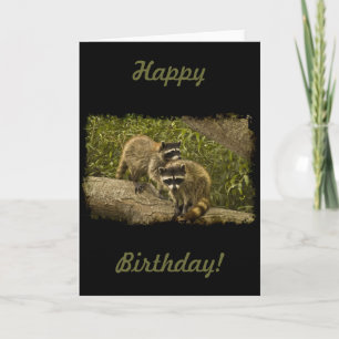 Waschbär-Geburtstag Karte