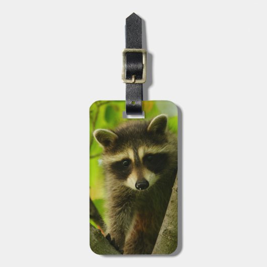 Waschbär Gepäckanhänger (Vorderseite vertikal)