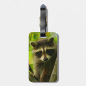 Waschbär Gepäckanhänger (Rückseite vertikal)