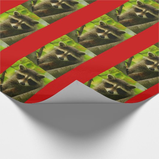 Waschbär Geschenkpapier (Ecke)