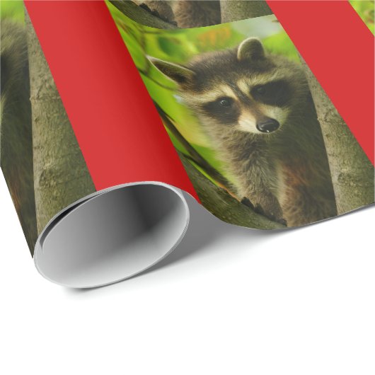 Waschbär Geschenkpapier (Rolleneckpunkt)