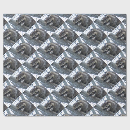 Waschbär Geschenkpapier (Flach)