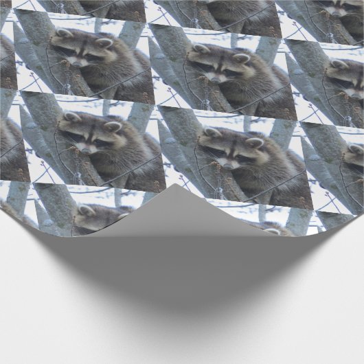 Waschbär Geschenkpapier (Ecke)