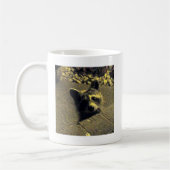 Waschbär ~ Gesicht eines Engels Kaffeetasse (Links)