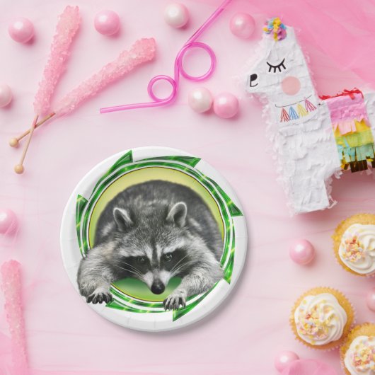 Waschbär-Gesicht Pappteller (Party)