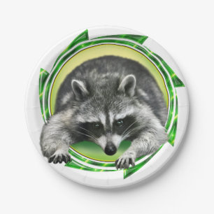 Waschbär-Gesicht Pappteller