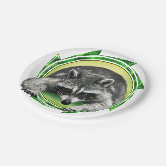 Waschbär-Gesicht Pappteller (Schrägansicht)