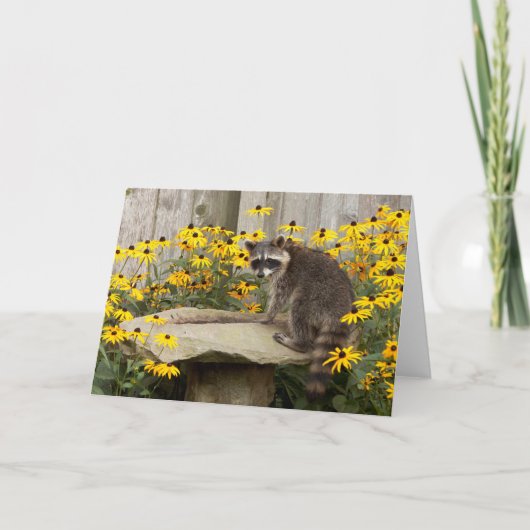 Waschbär-Gruß-Karte Karte (Vorderseite)