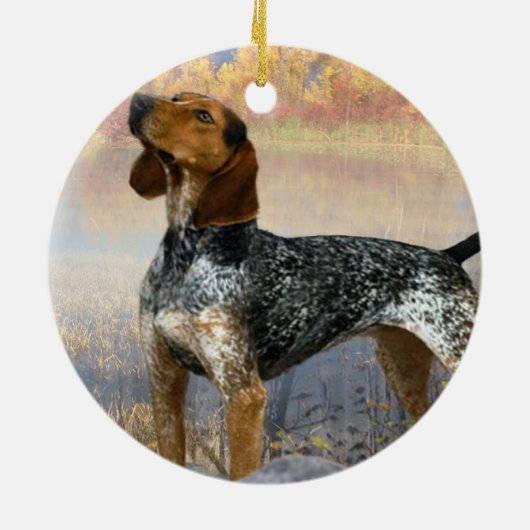 Waschbär-Hundeverzierung Keramik Ornament (Hinten)