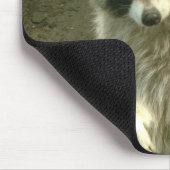 Waschbär I Mousepad (Ecke)