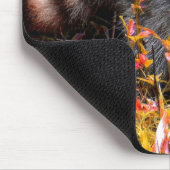 WASCHBÄR IM HERBST MOUSEPAD (Ecke)